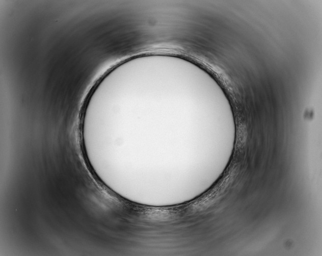 X0000103421470200810101008