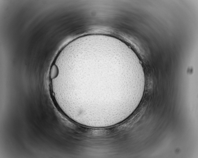 X0000103421471200810101008