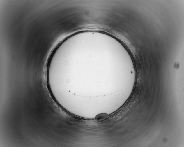 X0000103421472200810101008