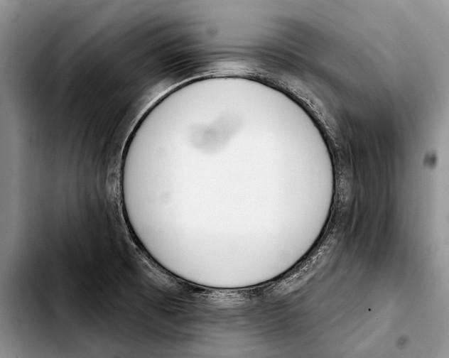 X0000103421473200810101008