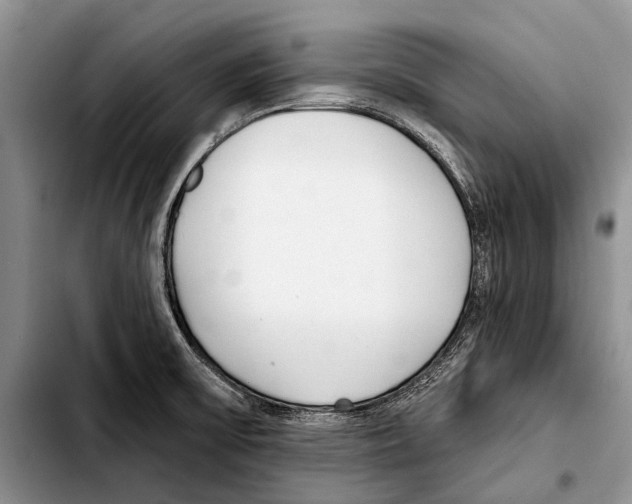 X0000103421475200810101008