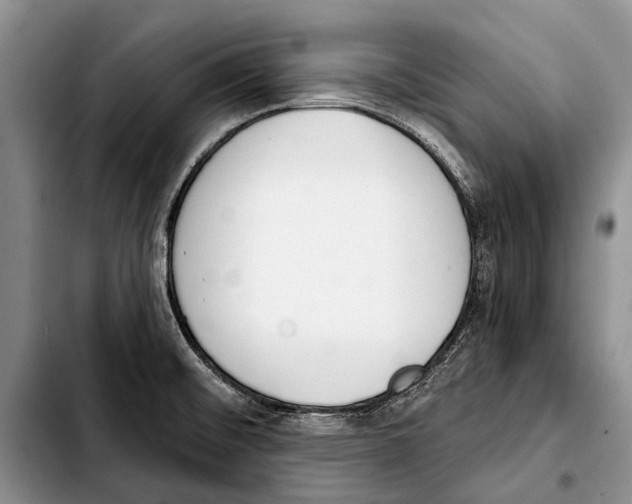 X0000103421476200810101008