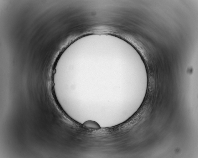 X0000103421477200810101008