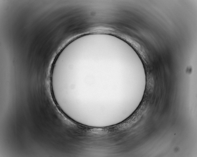 X0000103421478200810101008