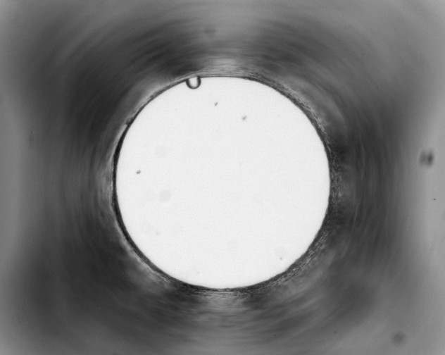 X0000103421479200810101008