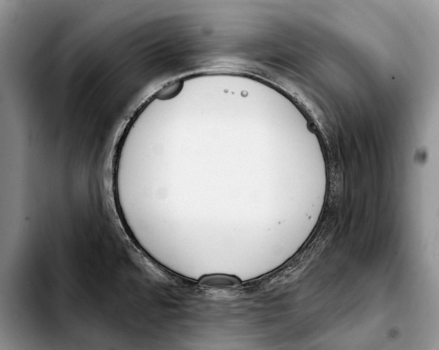 X0000103421480200810101008