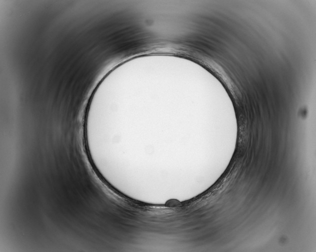 X0000103421483200810101007