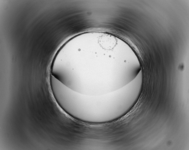 X0000103421484200810101007