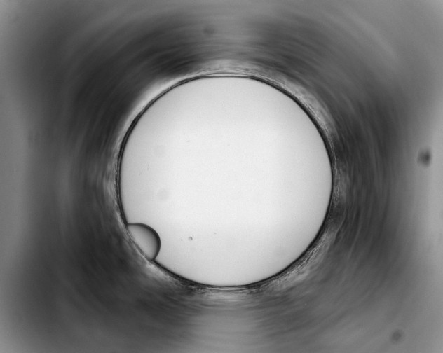 X0000103421486200810101007