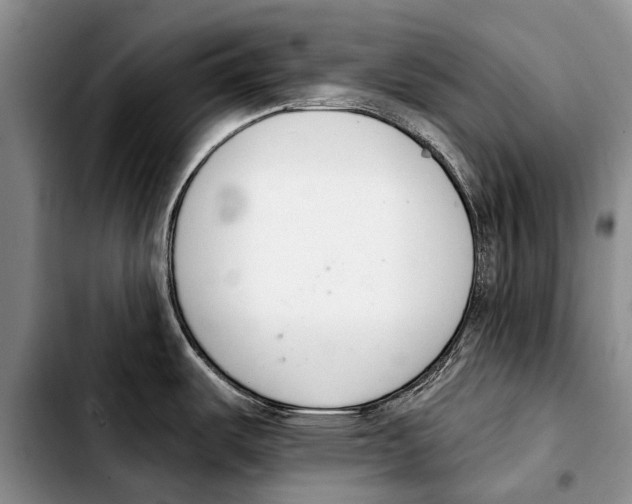 X0000103421487200810101007