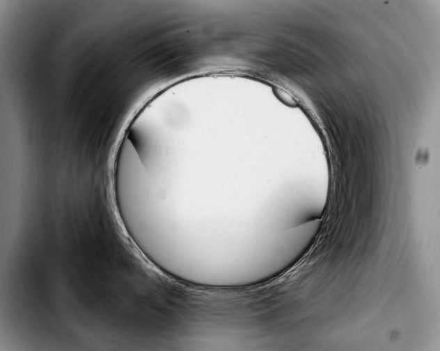 X0000103421488200810101007