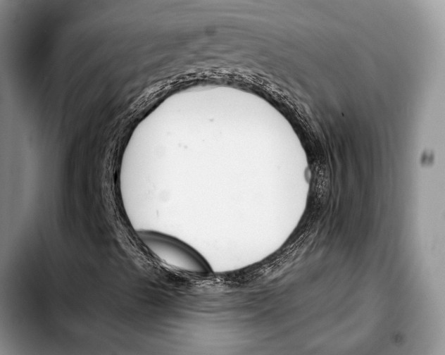 X0000103421489200810101007