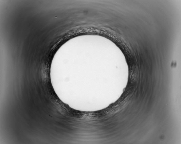 X0000103421490200810101007