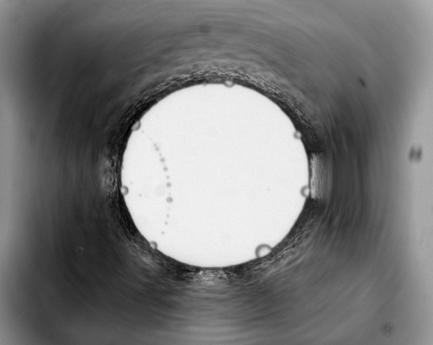 X0000103421491200810101007