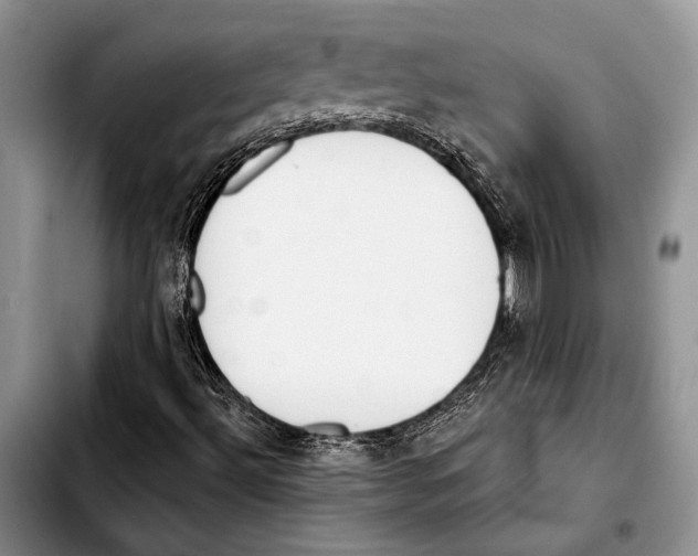 X0000103421492200810101007