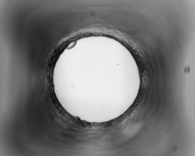 X0000103421494200810101007