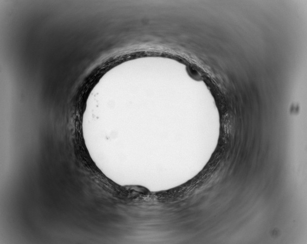 X0000103421495200810101007