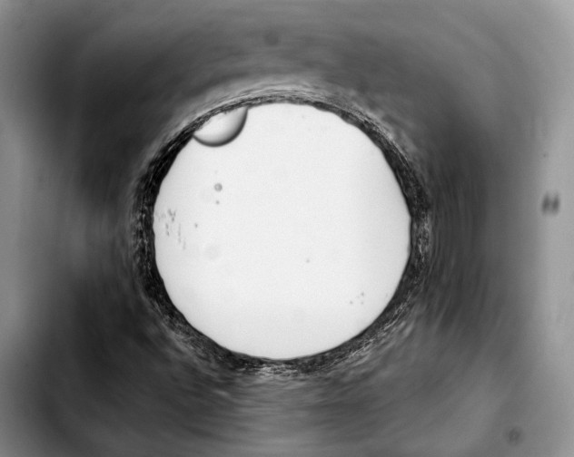 X0000103421496200810101007