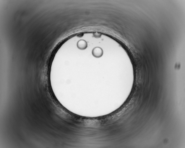 X0000103421498200810101007