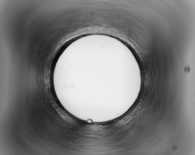 X0000103421499200810101007