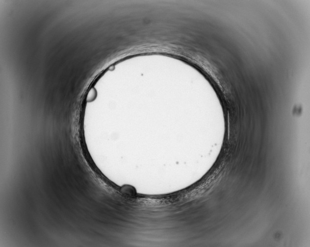 X0000103421500200810101007