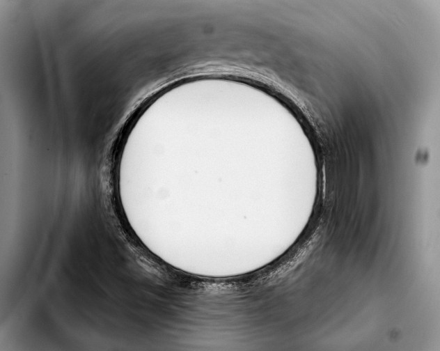 X0000103421501200810101007