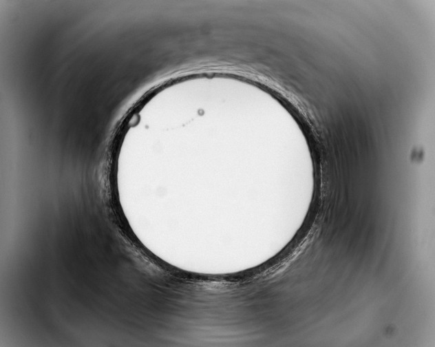 X0000103421502200810101007