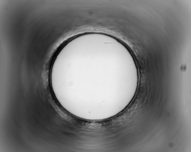 X0000103421503200810101007
