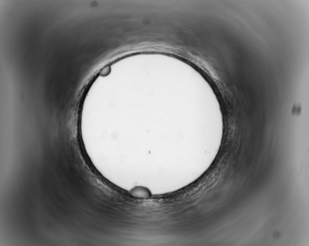 X0000103421504200810101007