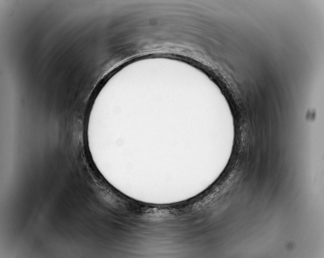 X0000103421505200810101007