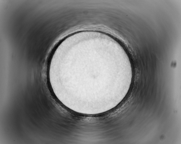 X0000103421506200810101007