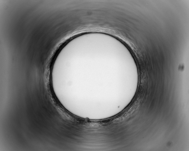 X0000103421507200810101007
