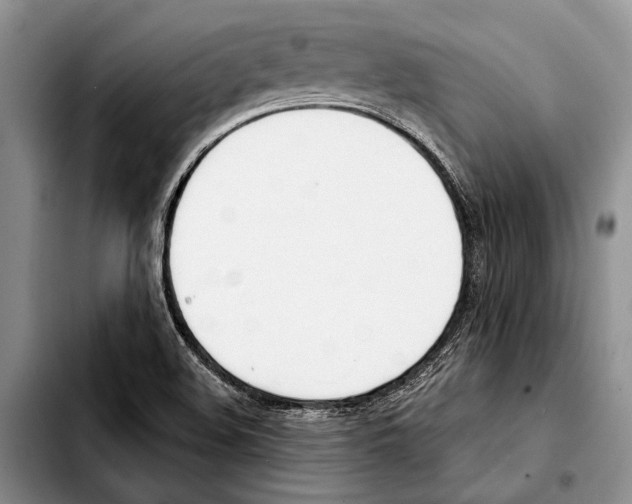 X0000103421508200810101007