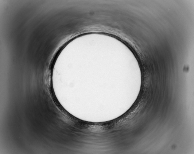X0000103421509200810101007