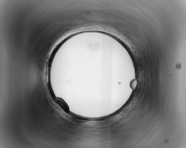 X0000103421510200810101007