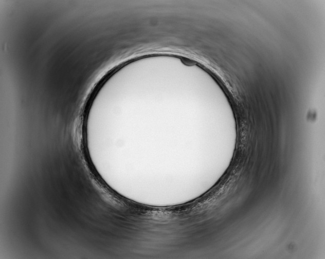 X0000103421511200810101007