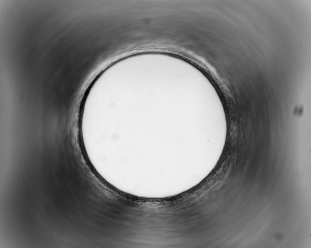 X0000103421512200810101007