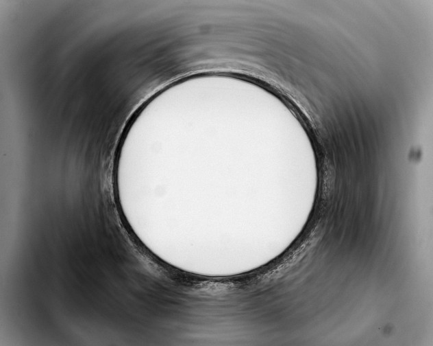 X0000103421513200810101007