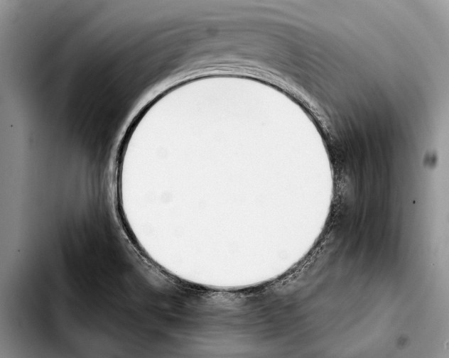 X0000103421514200810101007