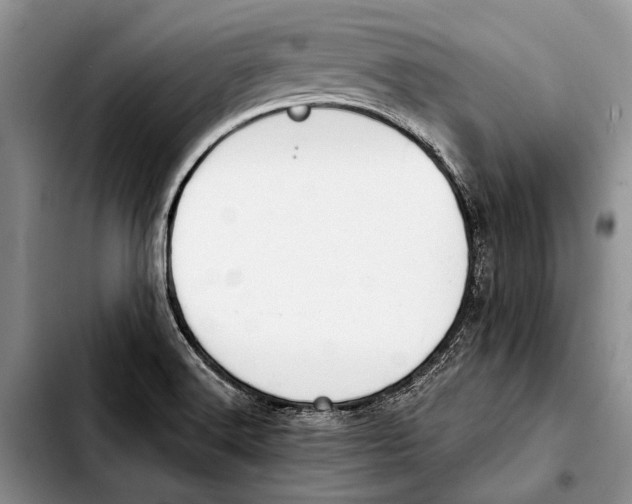 X0000103421516200810101007