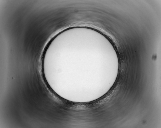 X0000103421517200810101007