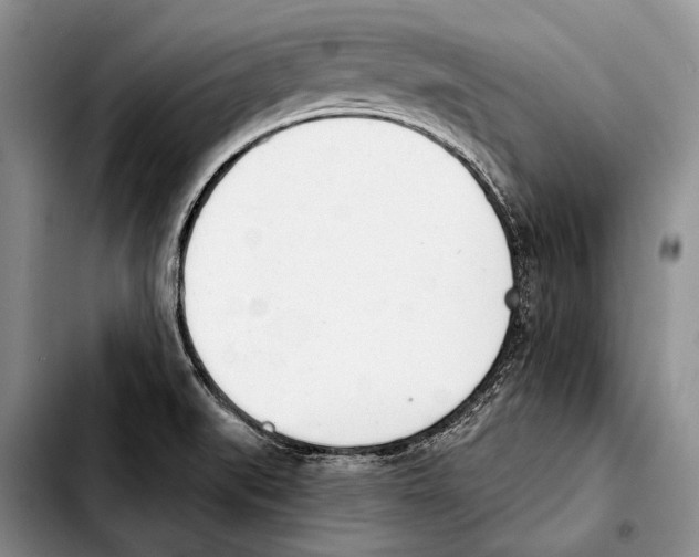 X0000103421519200810101007