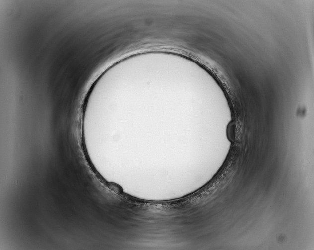 X0000103421520200810101007