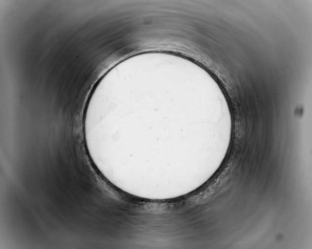 X0000103421521200810101007