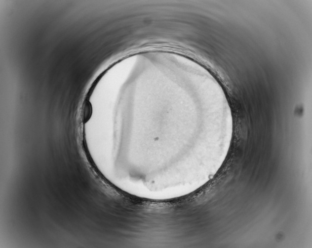 X0000103421522200810101007