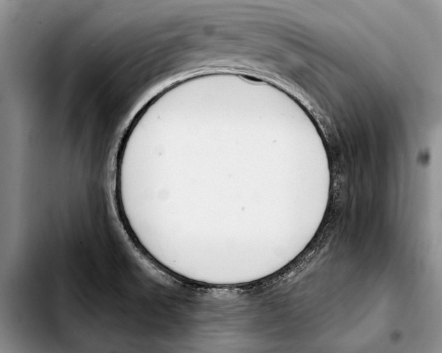 X0000103421523200810101007