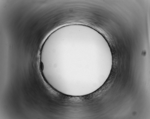 X0000103421524200810101007