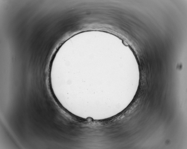 X0000103421525200810101007