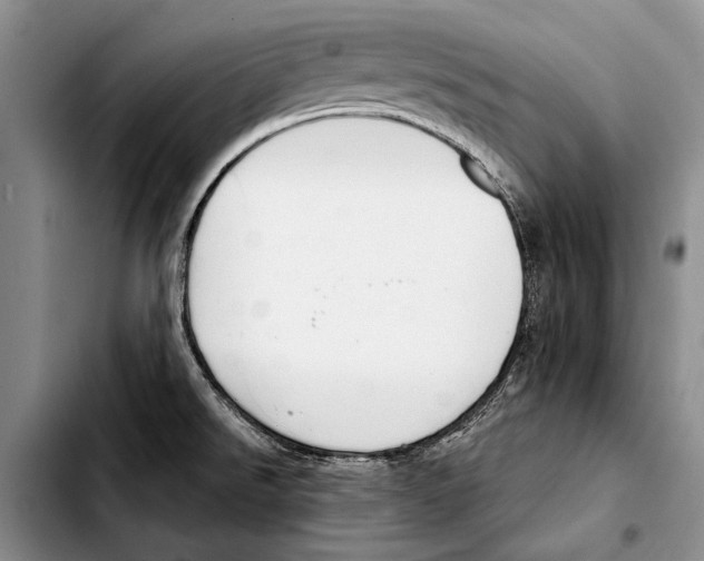 X0000103421526200810101007