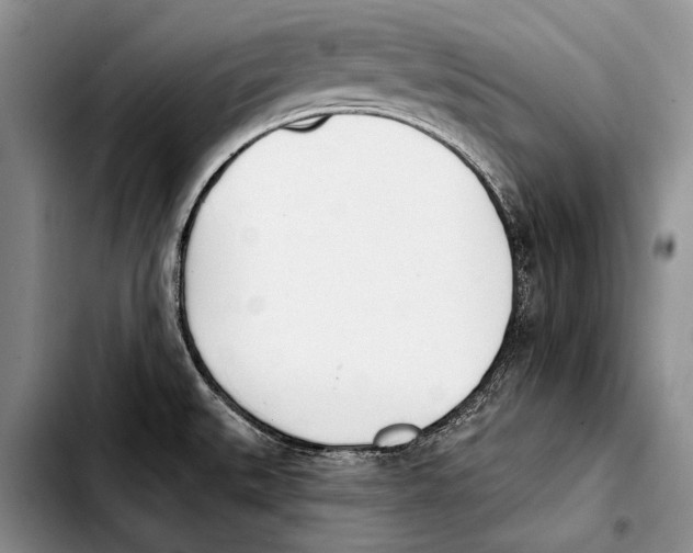 X0000103421527200810101007